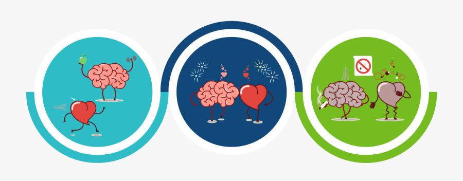 Brain Health Connection Banner - Heart And Brain Png, Transparent Clipart