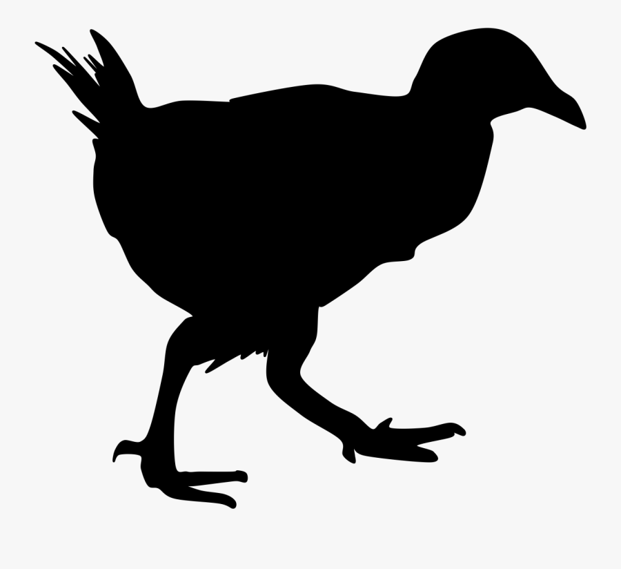 Copper Art, Christmas Crafts, Xmas Crafts, Christmas - Weka Bird Black And White, Transparent Clipart