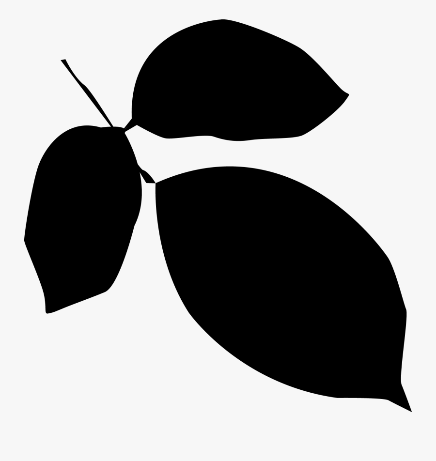 Free Vector Leaves Silhouette At Getdrawings, Transparent Clipart