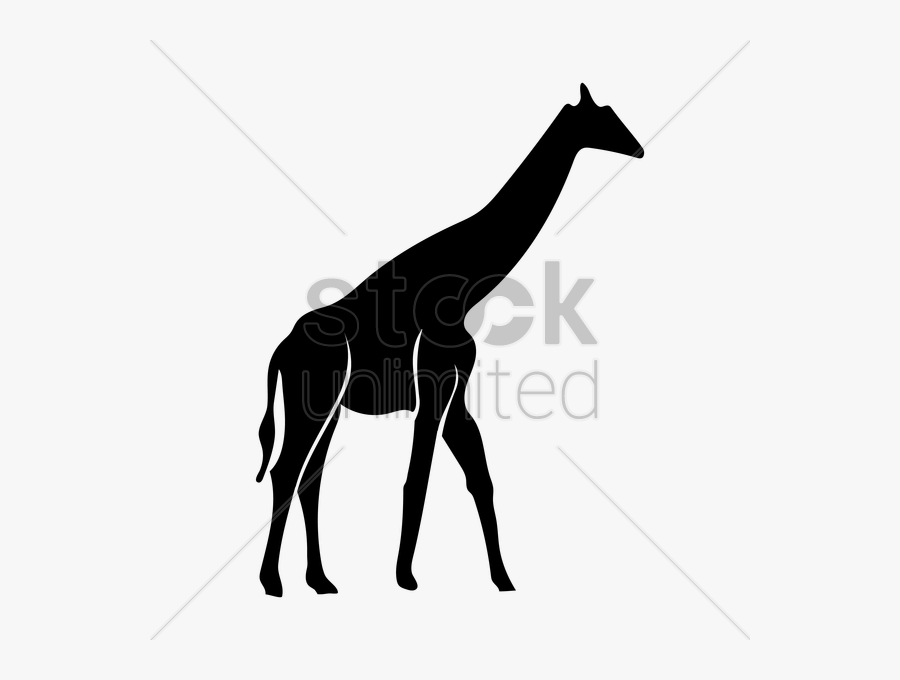 Giraffe Shadow Clipart Silhouette Shadow - Giraffe, Transparent Clipart