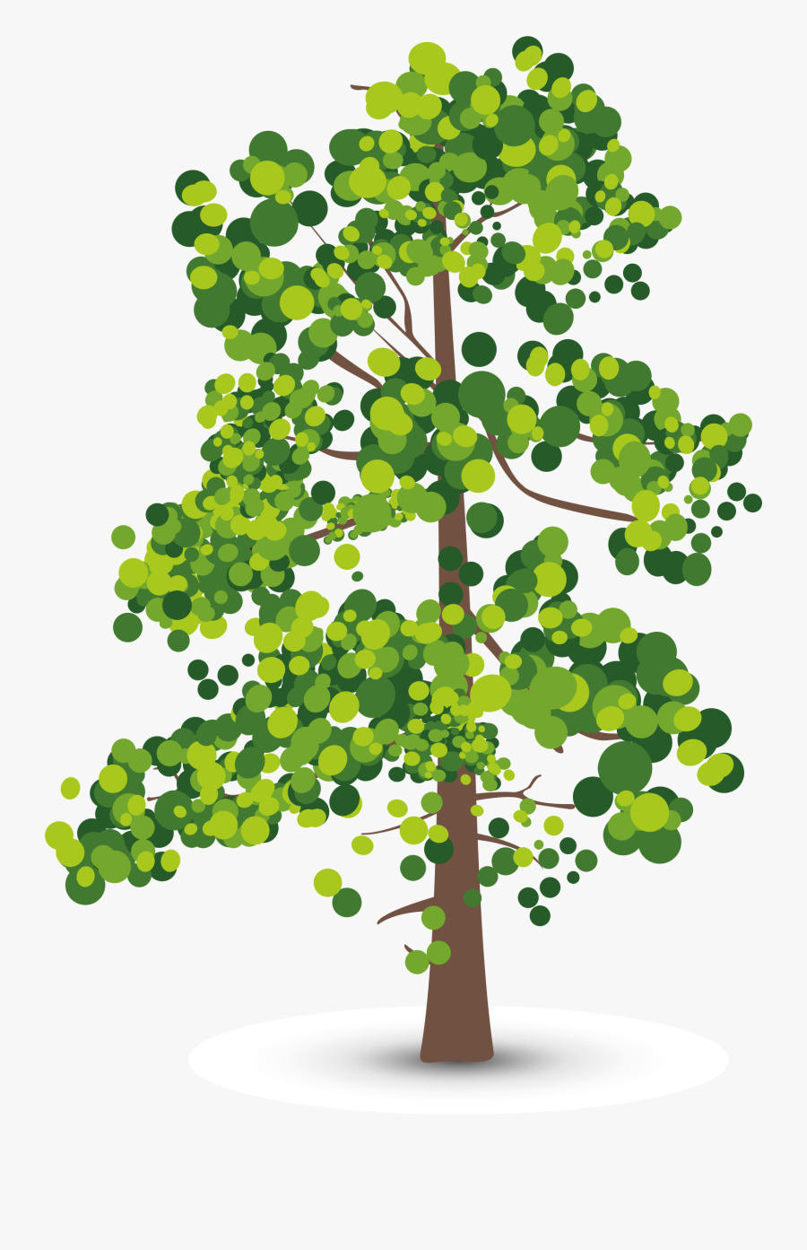 Aspen Tree Creative Perspective Olive Leaf Shadow Clipart - Aspen Clipart, Transparent Clipart