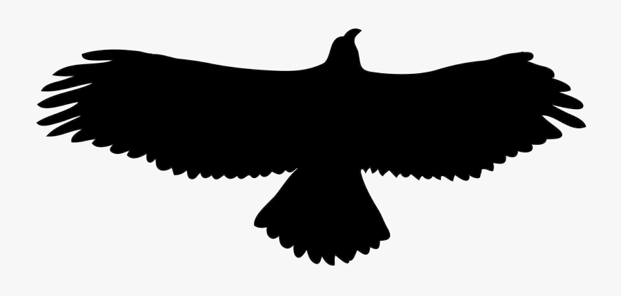 Eagle Golden Clipart Shadow X Free Clip Art Stock Transparent - Empty Nest Adventures, Transparent Clipart