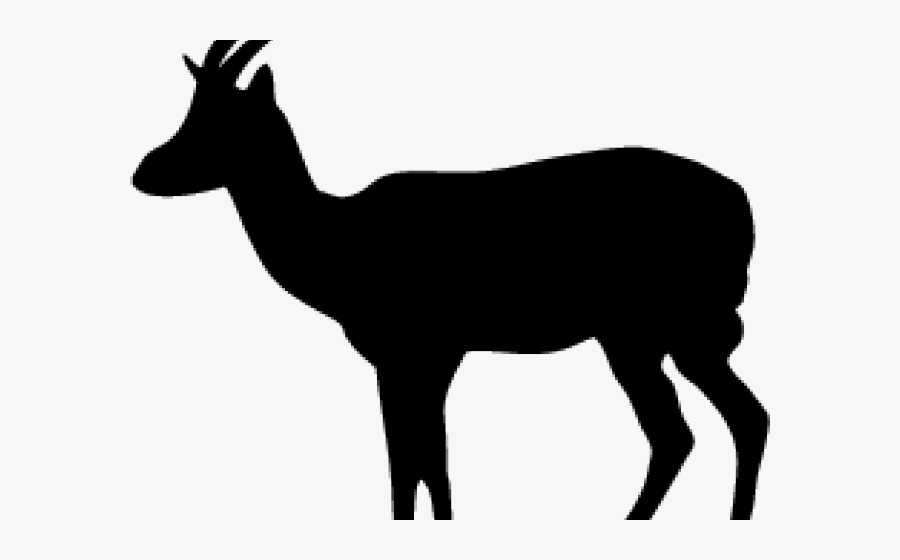 Gazelle Shadow Clipart - Roe Deer, Transparent Clipart