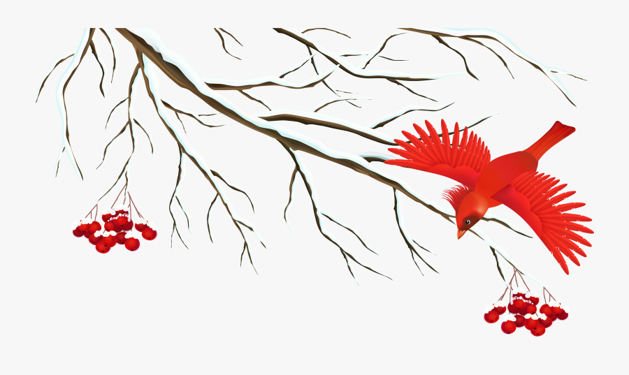 Let It Snow Winter Clipart - Snowy Tree Branch Clipart, Transparent Clipart