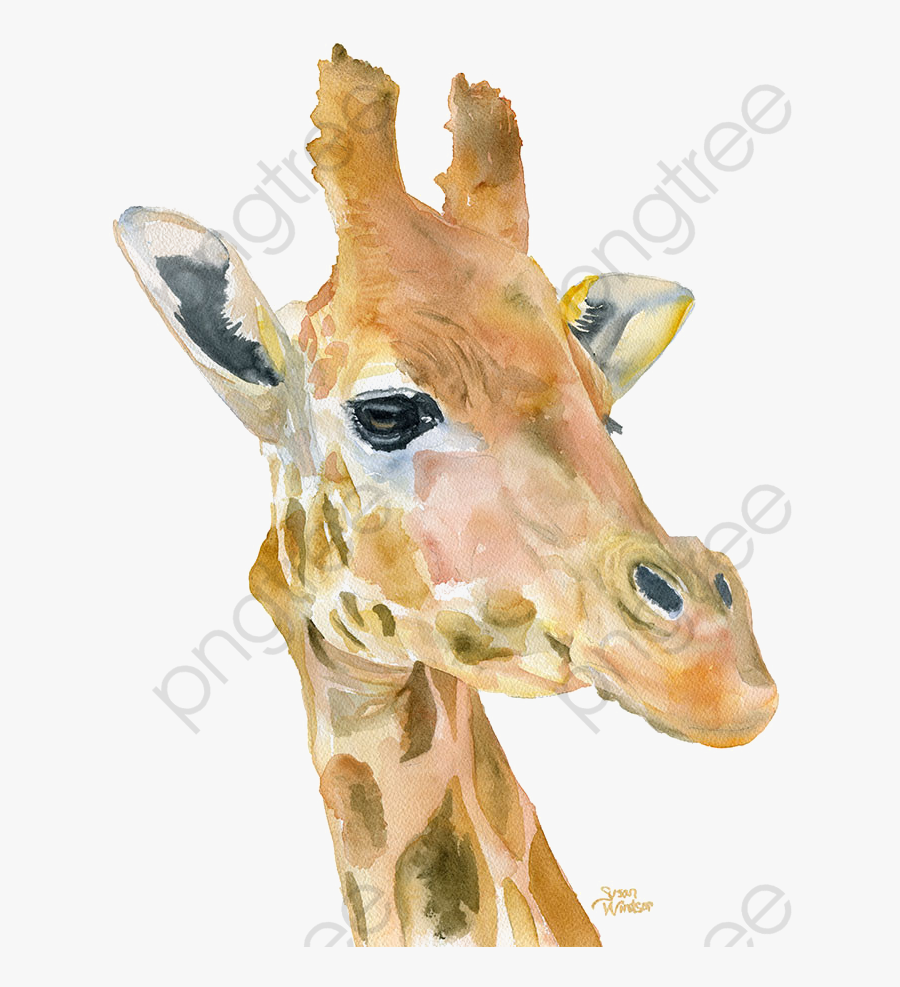 Giraffe Clipart Safari - African Animals To Print, Transparent Clipart