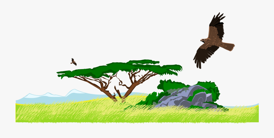 Vulture,eagle,wildlife - Steppe Clipart, Transparent Clipart