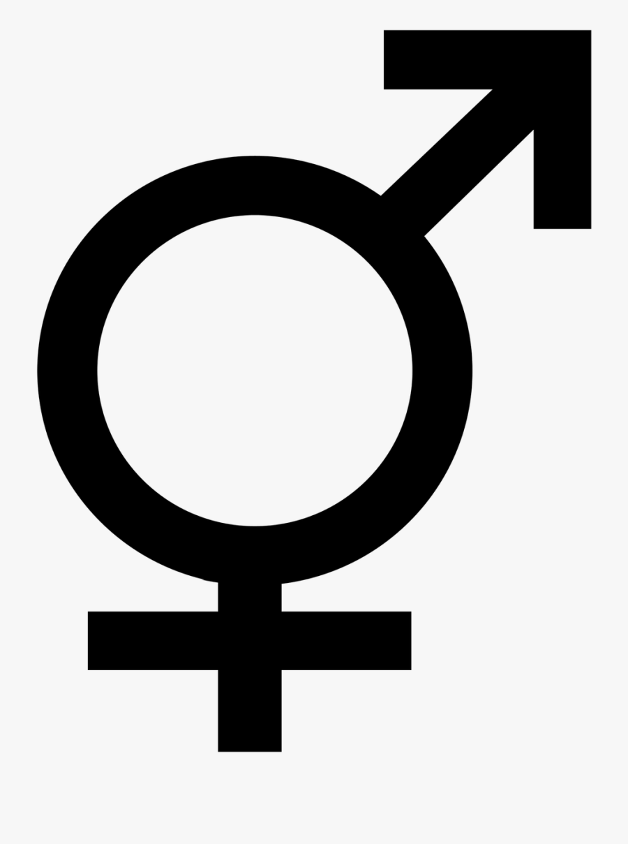 Male Thai Doctors Have A Tendency To Talk To The Male - Bisexual Symbol, Transparent Clipart