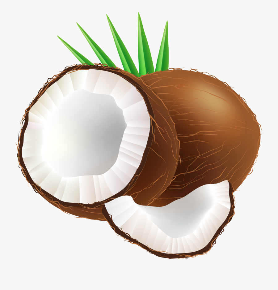 Coconut Png Clip Art - Clip Art Of Coconut, Transparent Clipart