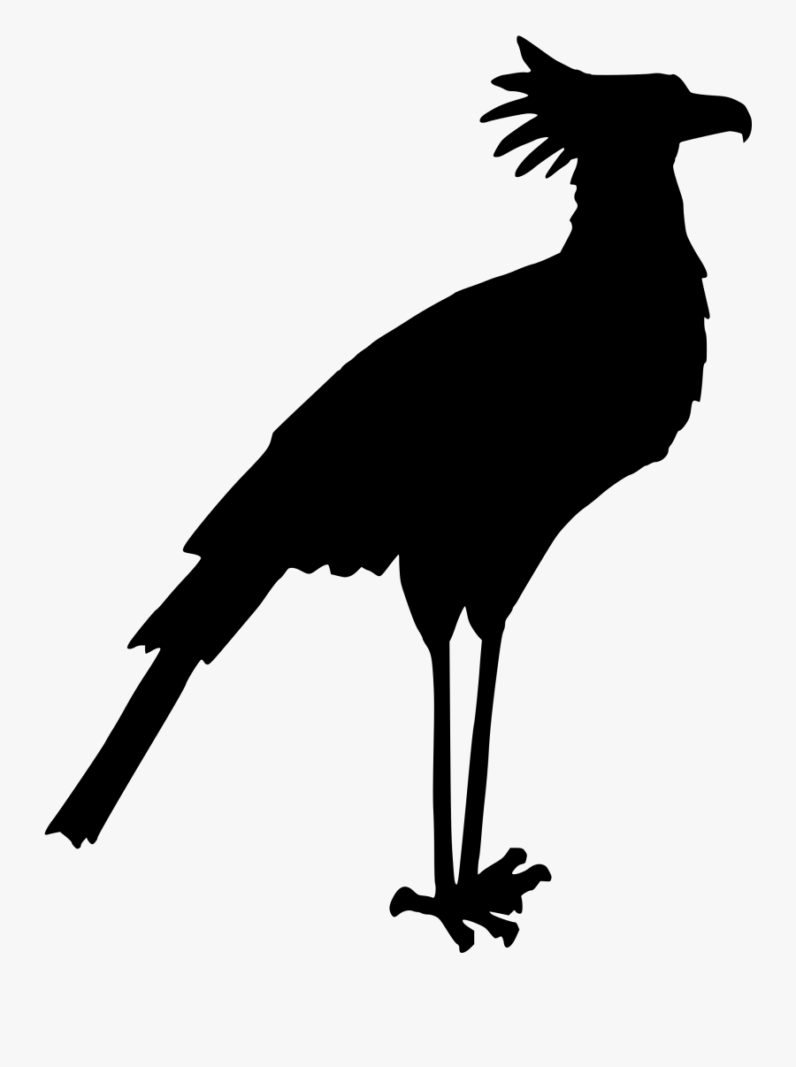 Photography - Secretary Bird Png, Transparent Clipart