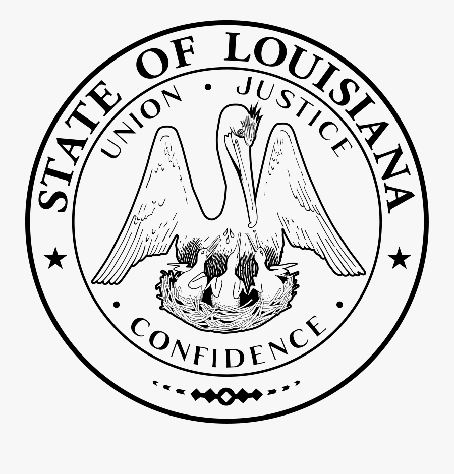 Maine Secretary Of State Kids Fun Games Symbols Coloring - Louisiana State Flag Black And White, Transparent Clipart