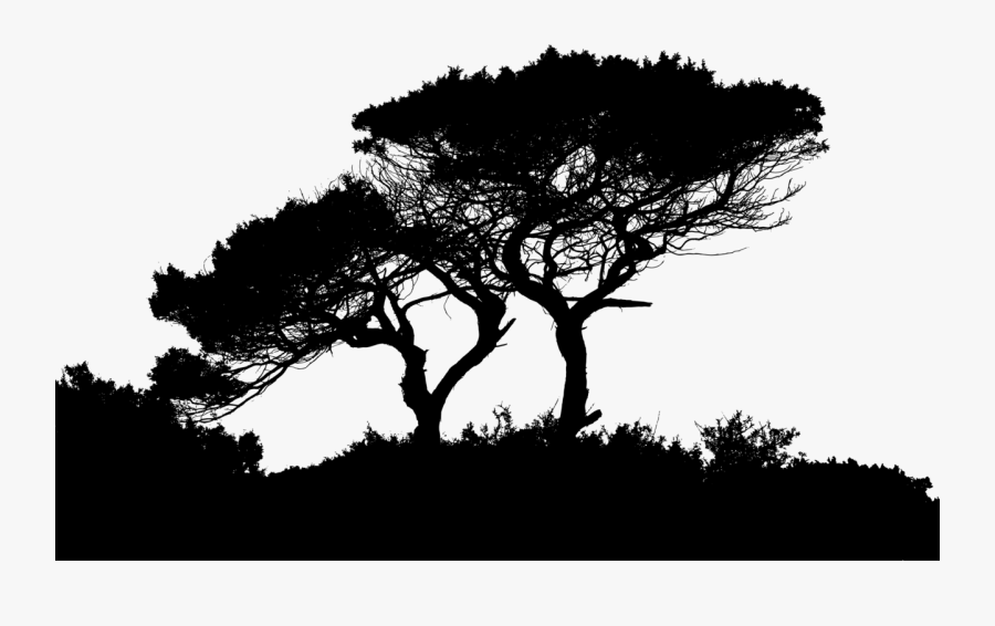 Computer Wallpaper,pine Family,plant - Silhouette Of A Landscape, Transparent Clipart