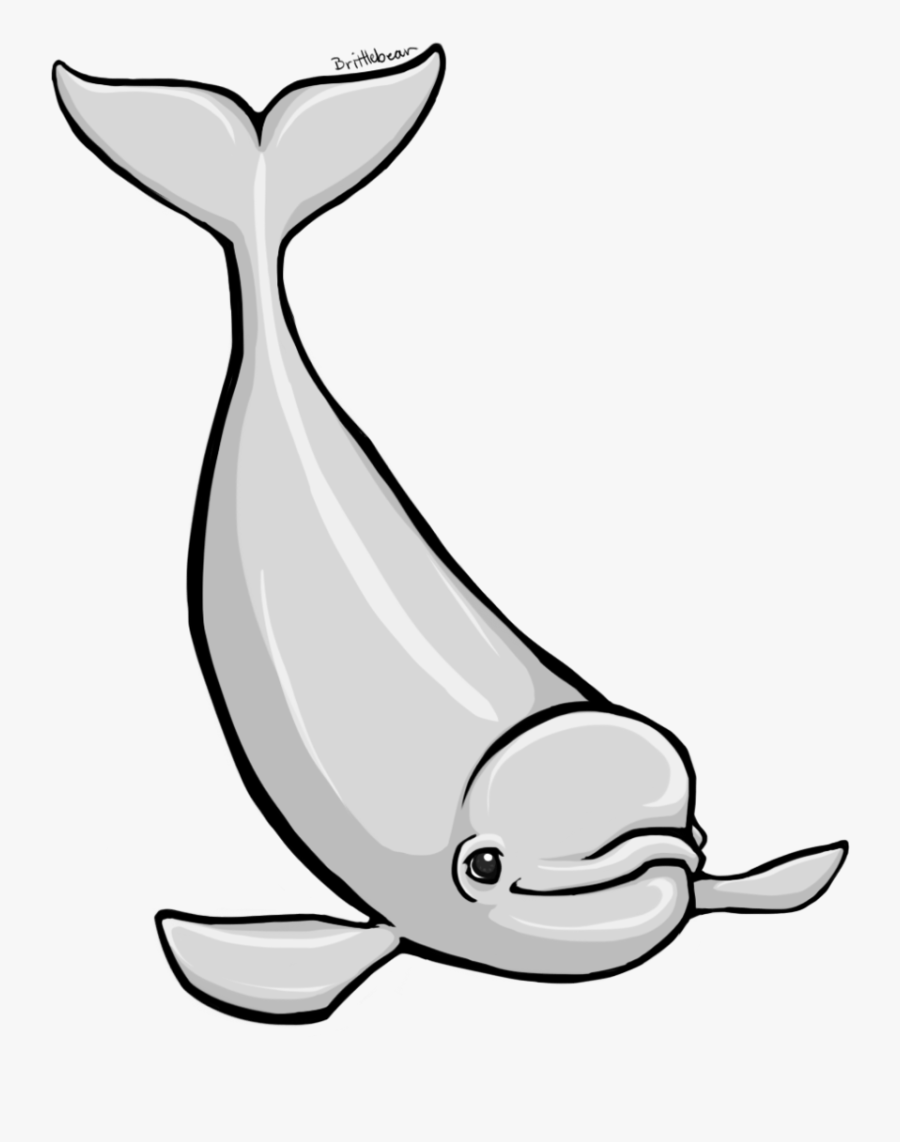 Beluga Whale Clipart - Beluga Clipart, Transparent Clipart