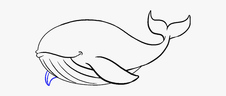 Whale Clipart Draw - Draw A Humpback Whale, Transparent Clipart