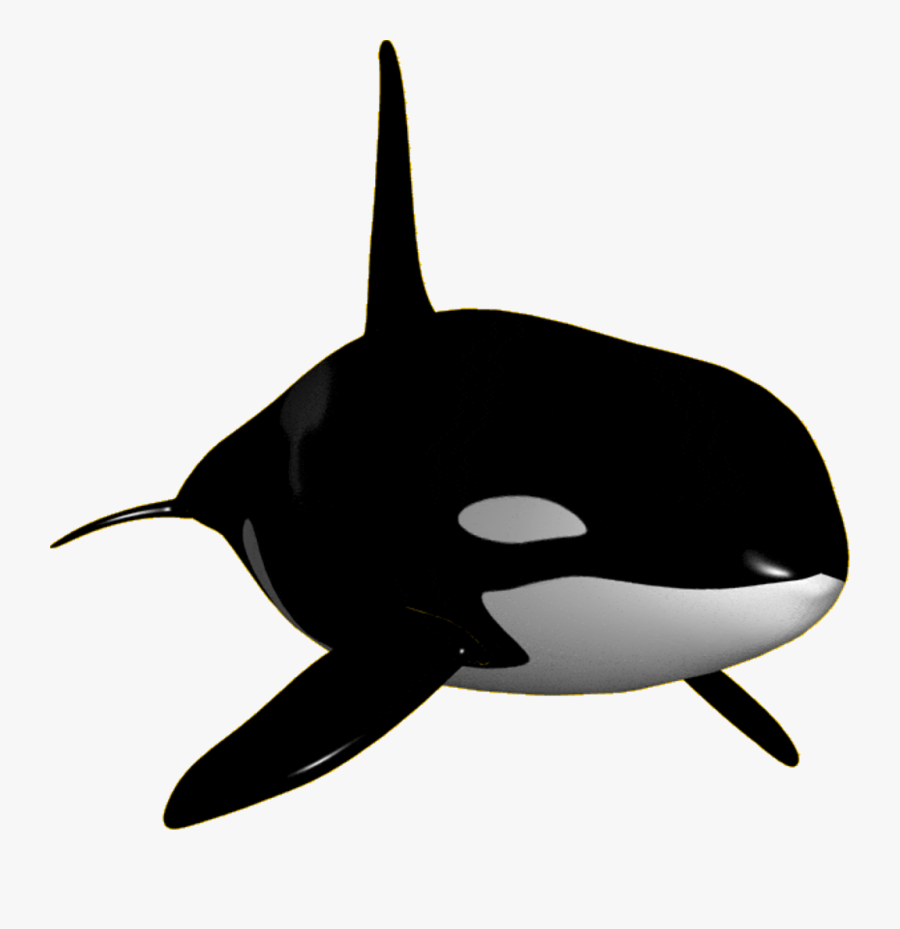 Orca Clipart Transparent - Transparent Killer Whale Clipart, Transparent Clipart