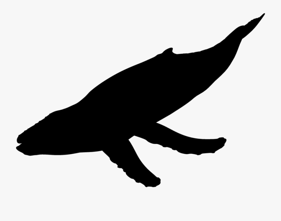Iaoxd Gt Png - Humpback Whale Silhouette Png, Transparent Clipart