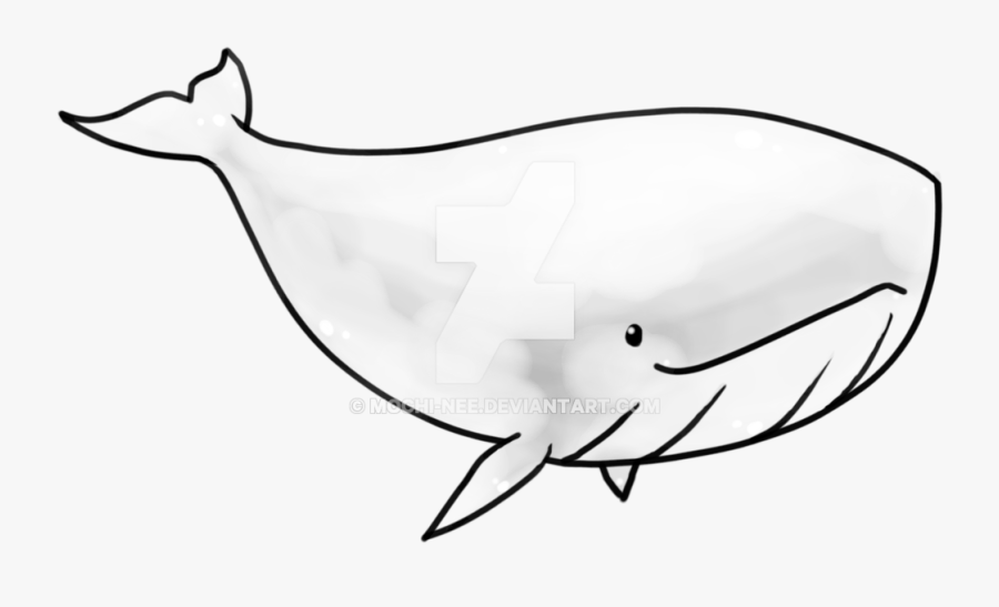 Cliparts For Free Download Orca Clipart Easy Draw And - Transparent Picture Of Whale, Transparent Clipart