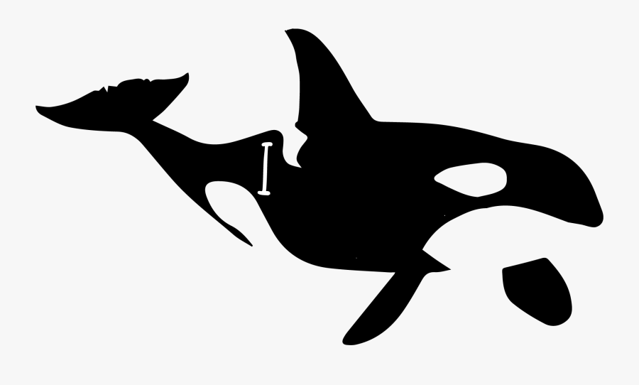 Sperm Whale Killer Whale Wall Decal Oceanic Dolphin - Beluga Killer Whale Whale, Transparent Clipart