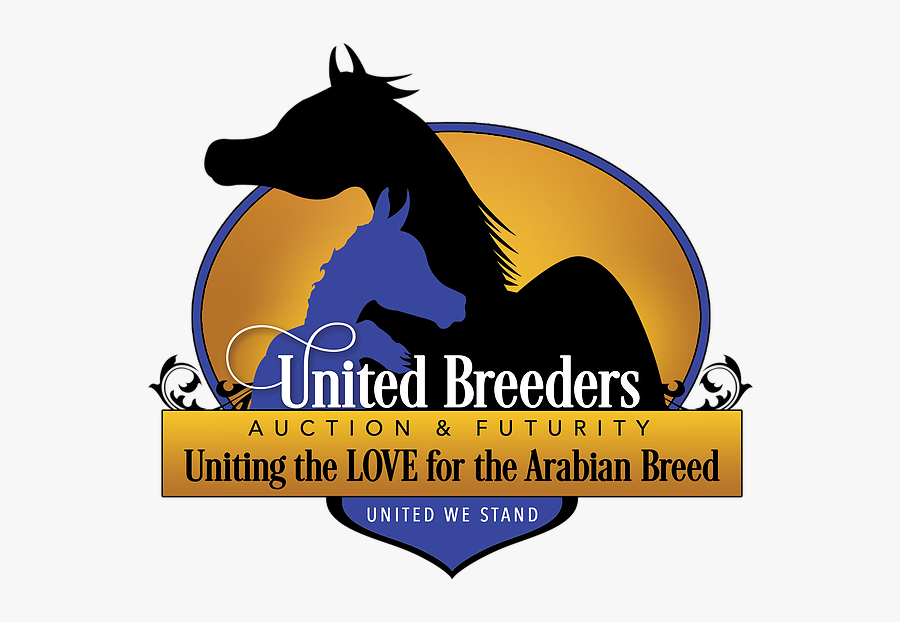 Graphic Design, Transparent Clipart