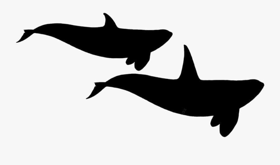 Transparent Twine Whales Clipart Image - Dolphin, Transparent Clipart