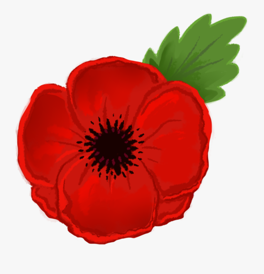 Poppy Clipart, Transparent Clipart