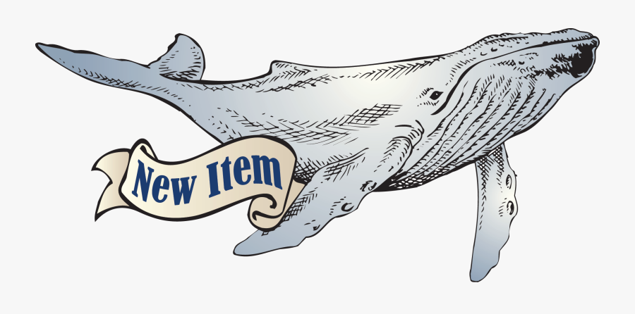 The Beached Ft Myers - Cartoon, Transparent Clipart