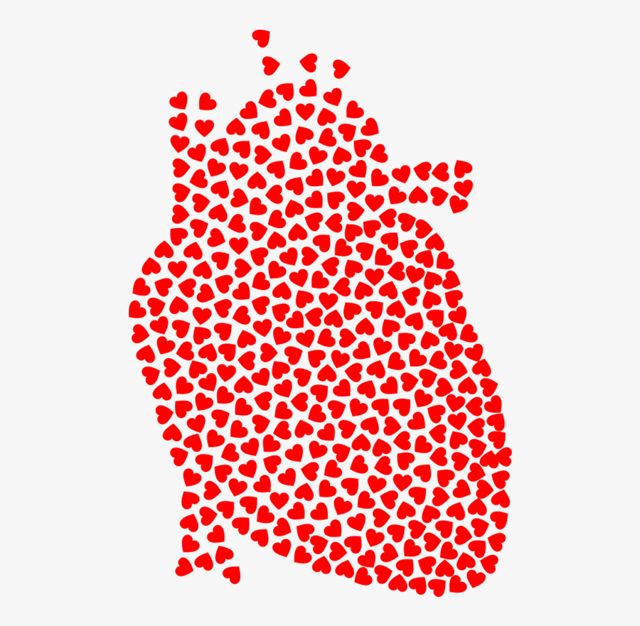 Anatomy Of The Heart Clipart - Magestick Records, Transparent Clipart