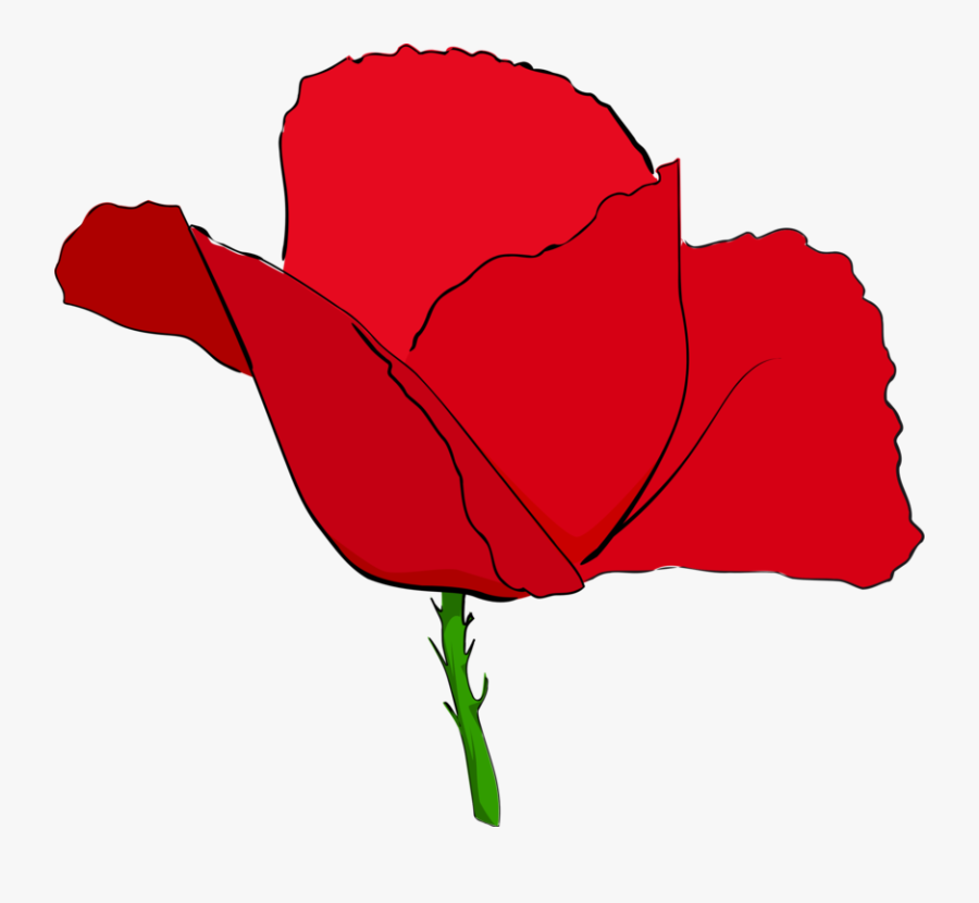 Coquelicot Rouge - Corn Poppy Clipart Transparent, Transparent Clipart