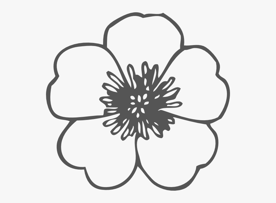 Flower Clipart Outline, Transparent Clipart