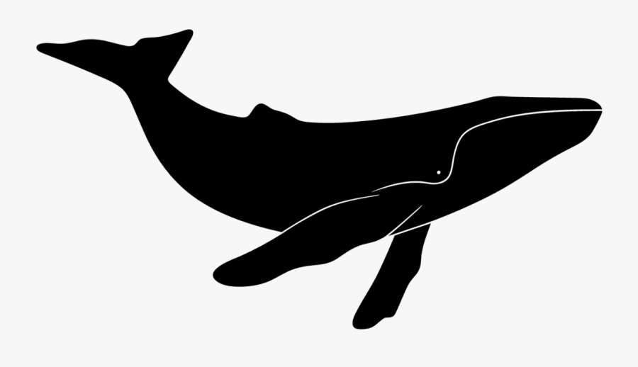 Whale Silhouette Png - Blue Whale Silhouette, Transparent Clipart
