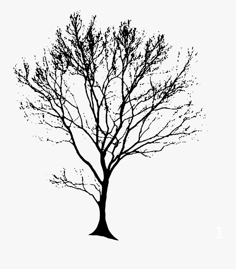 Bare Tree Trunk Png Vector, Clipart, Psd - Tree Line Drawing Png, Transparent Clipart