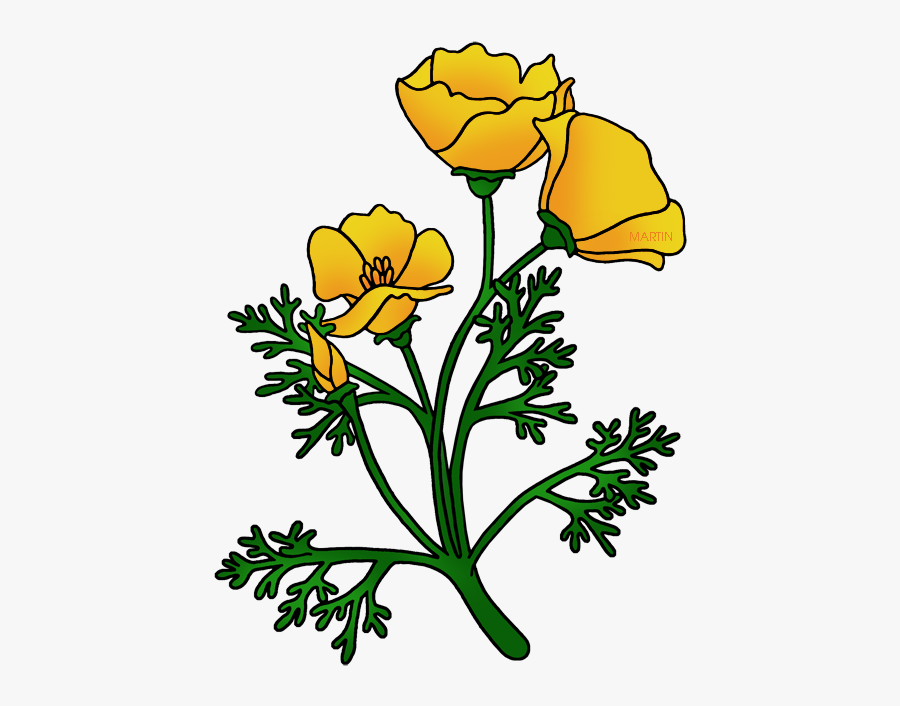 California State Flower - California Flower Golden Poppy, Transparent Clipart