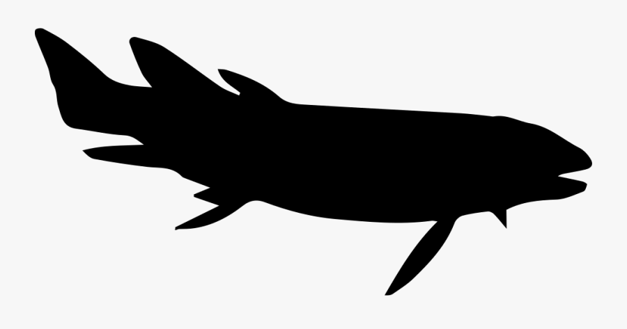 Rodeo Svg Fish - Whale, Transparent Clipart