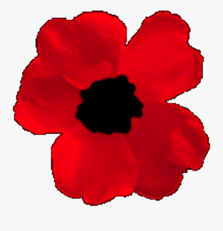Corn Poppy Clipart , Png Download - Corn Poppy, Transparent Clipart