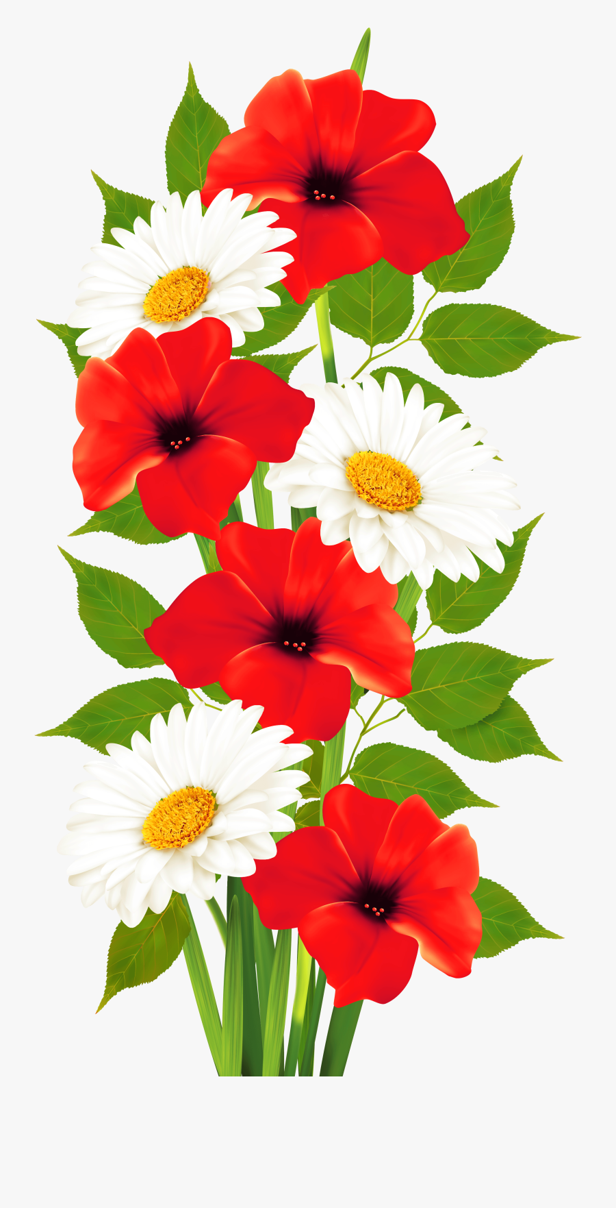 Poppies And Daisies Transparent Png Clipart - Transparent Background Flower Clipart, Transparent Clipart