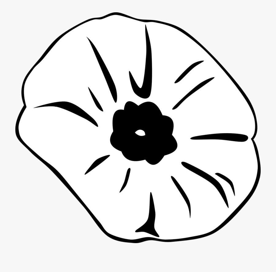 Remembrance Day Poppy Drawing, Transparent Clipart
