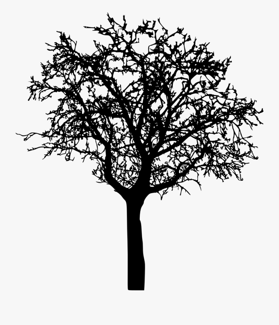Png File Size - Bare Tree Silhouette Png, Transparent Clipart