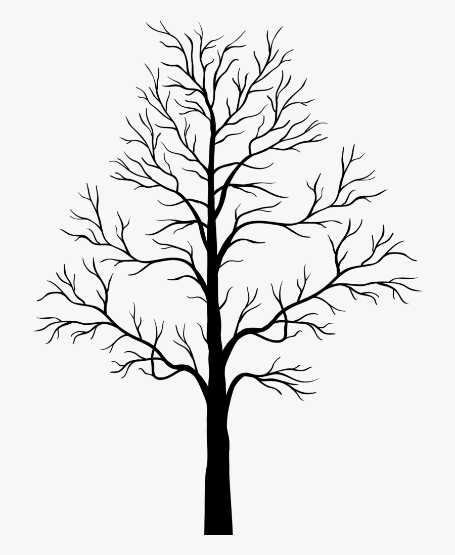 Transparent Leafless Tree Clipart - Tree Art Black And White Clipart, Transparent Clipart
