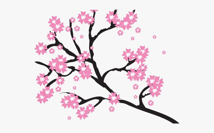 Japanese Cherry Blossom Clipart, Transparent Clipart