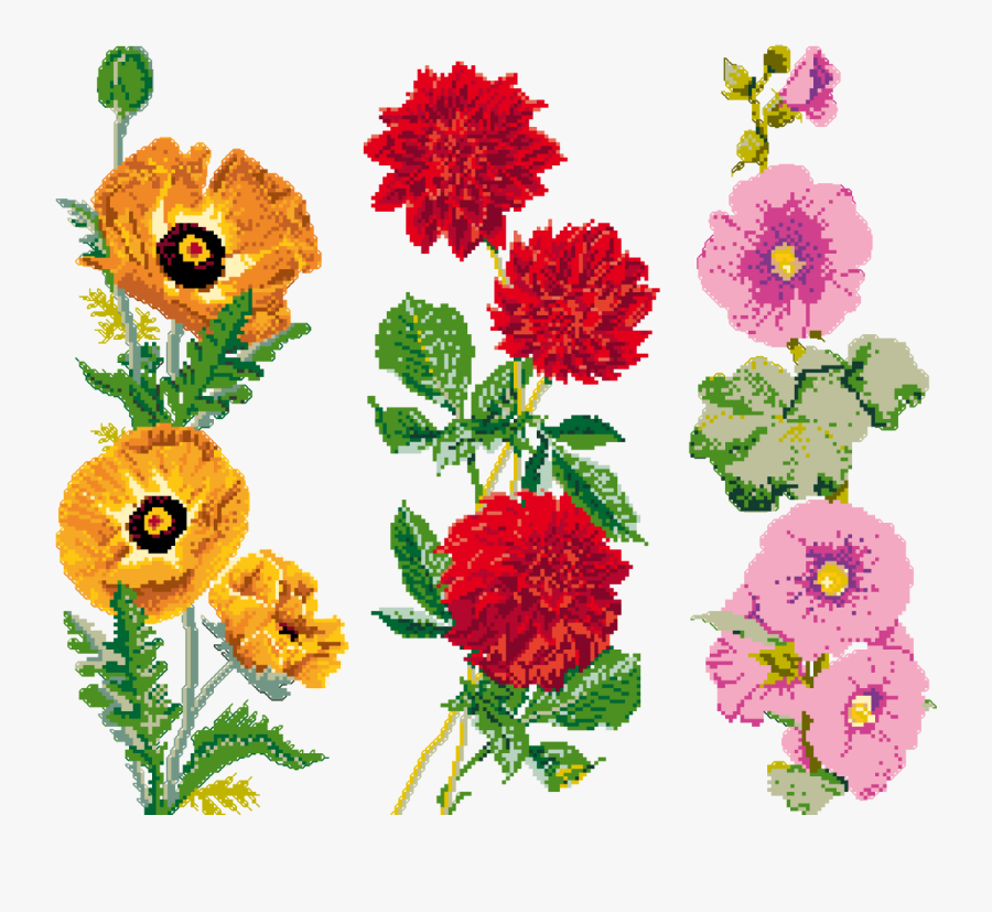 The Poppy, Dahlia Ahd Hollyhock From The Sajou Tinctorial - Cross-stitch, Transparent Clipart