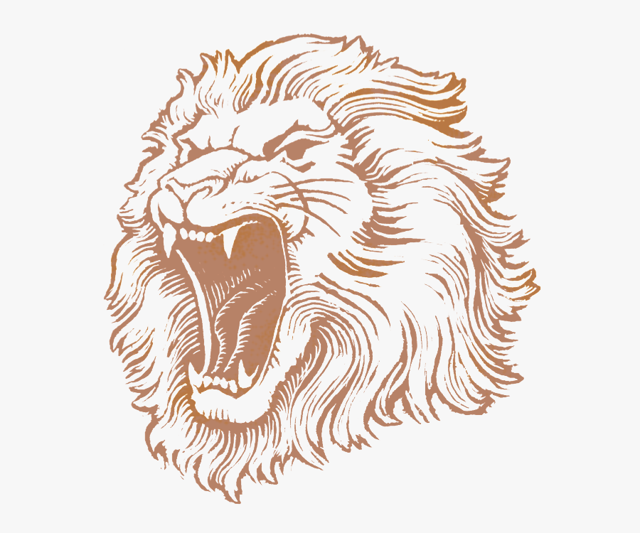 Clip Art Lion Head Png - Lionshead Pilsner - Lion Brewery, Inc., Transparent Clipart