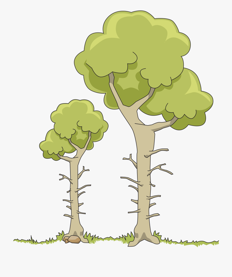Dead Tree Clipart At Getdrawings - قصص الجمع, Transparent Clipart