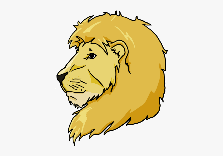 Instructions On How To Draw Lions And Tigers - Drawings Of Lion And Tiger, Transparent Clipart