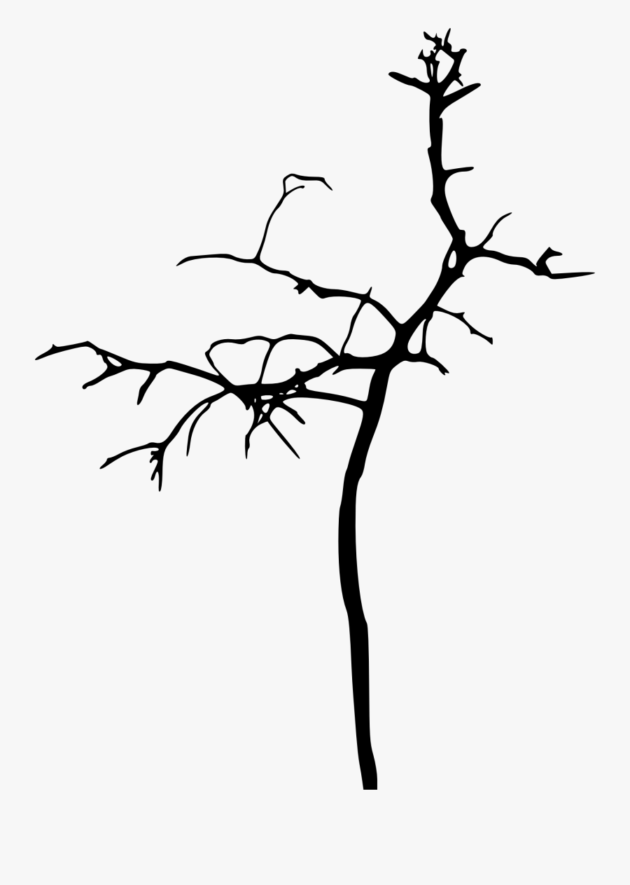 Tree Clipart , Png Download - Toxic People Will Hold You Back, Transparent Clipart