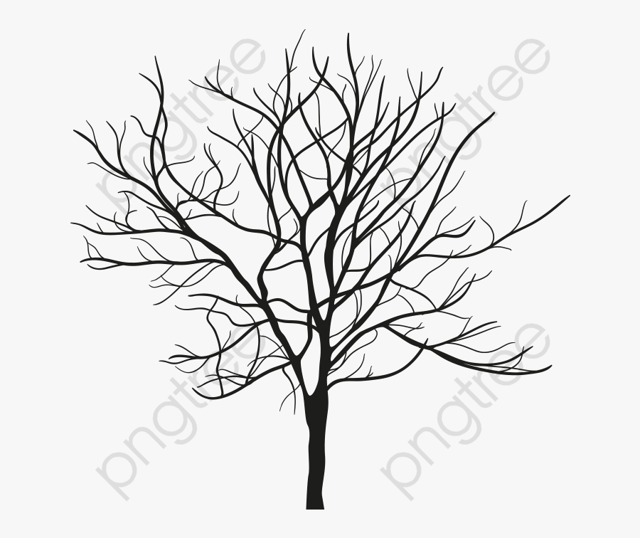 Withered - Skinny Tree Silhouette , Free Transparent Clipart - ClipartKey