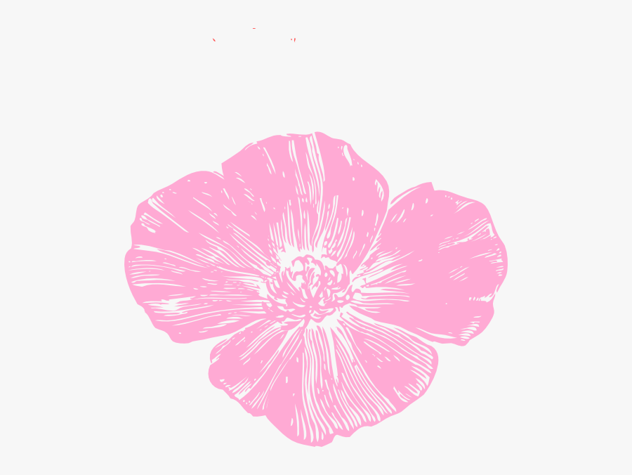Pink Poppy Flower Clipart, Transparent Clipart