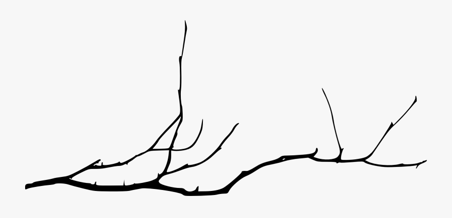 Tree Branch Silhouettes - Bare Tree Branch Png, Transparent Clipart