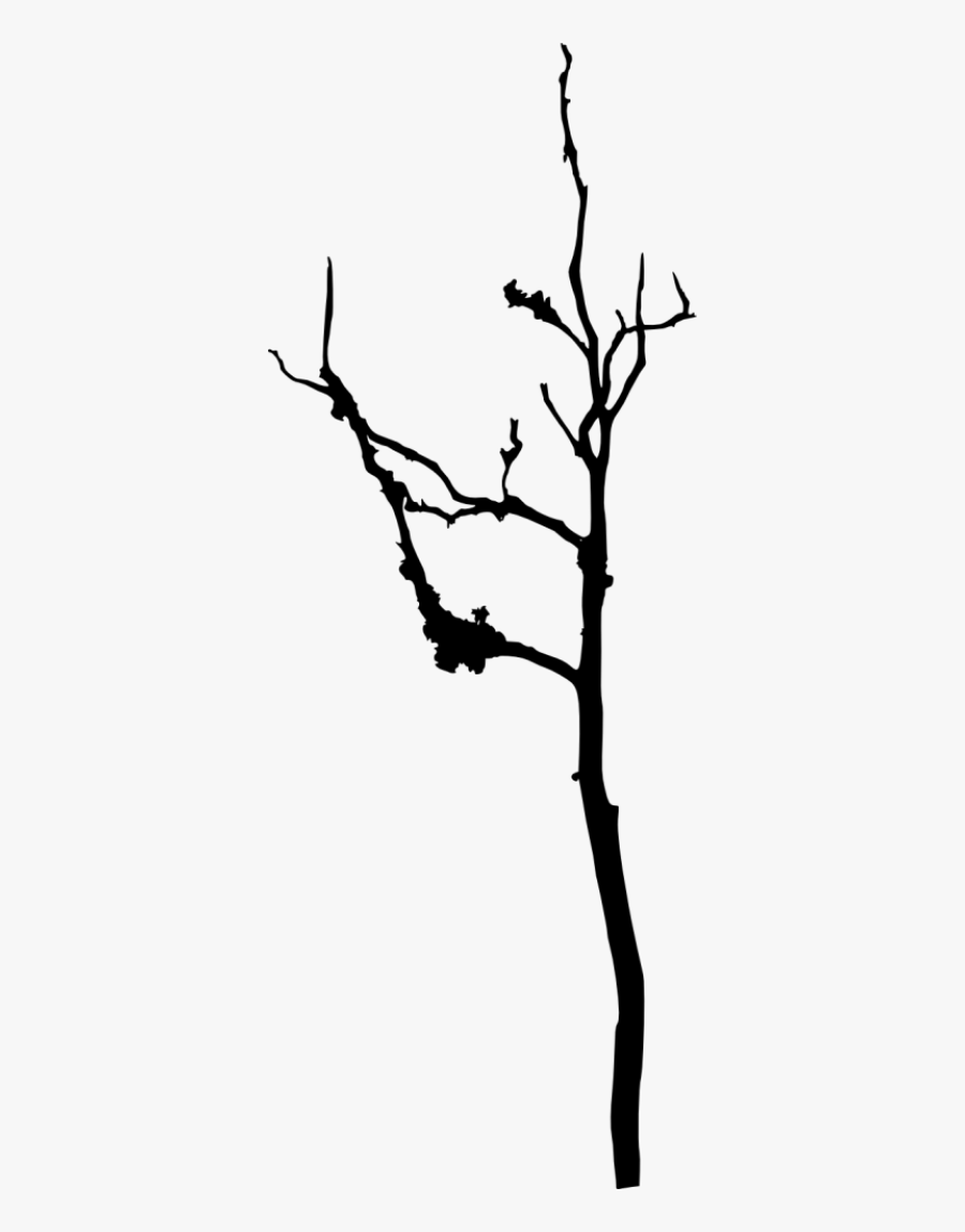 Tree Silhouette At Getdrawings - Silhouette, Transparent Clipart