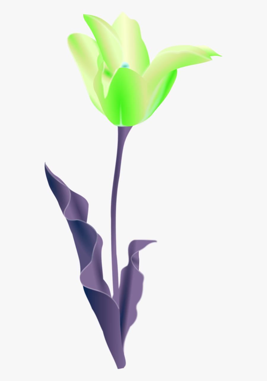 Vector Clip Art - Tulip Clip Art, Transparent Clipart