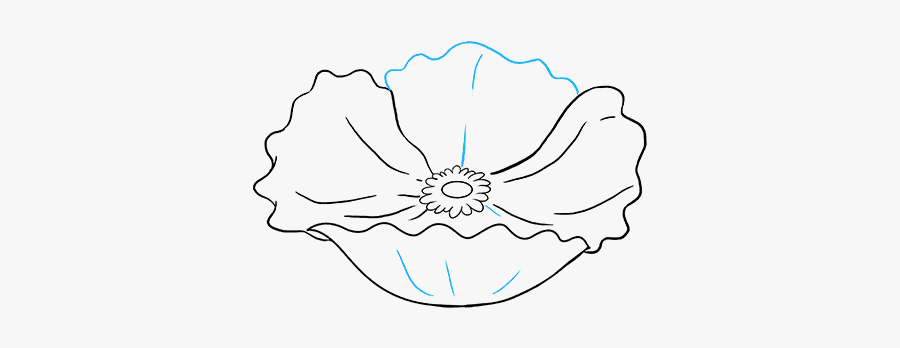 How To Draw Poppy, Transparent Clipart