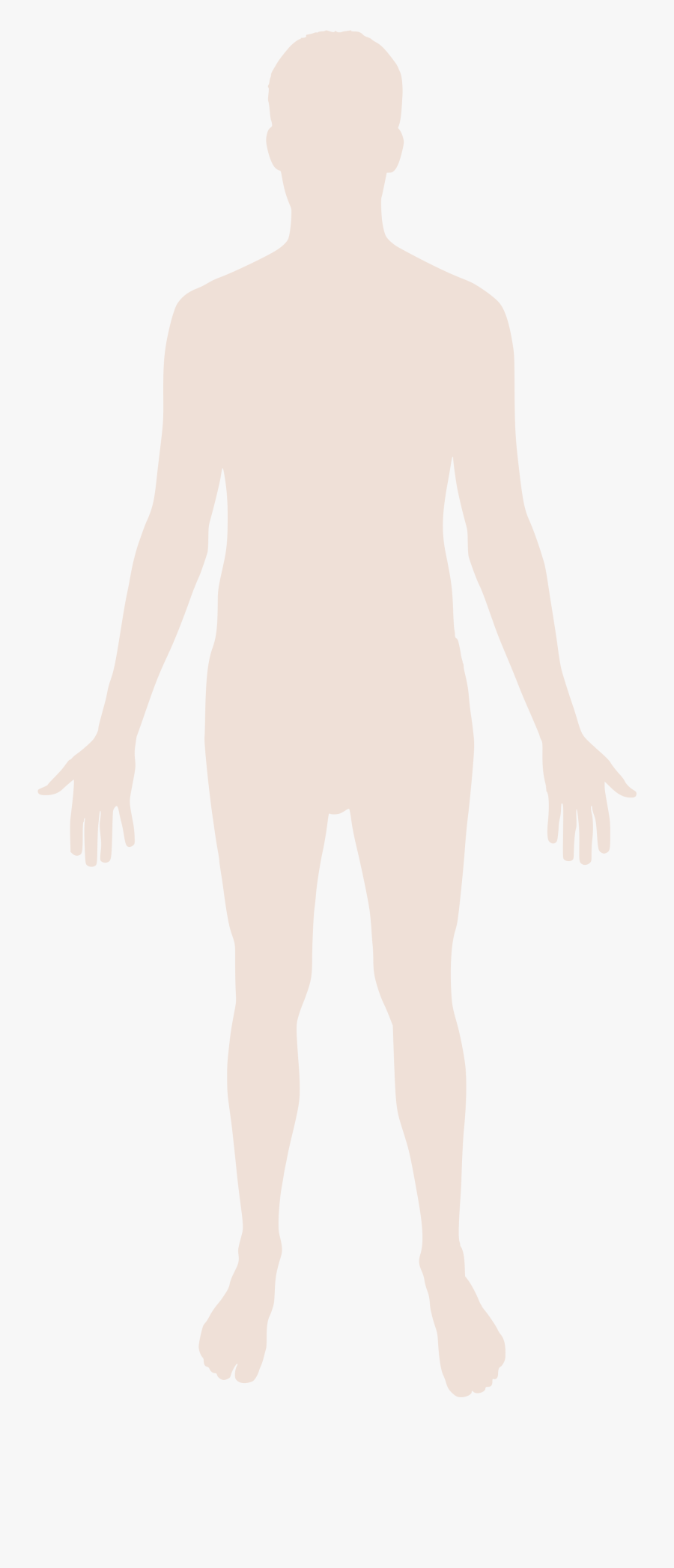 Silhouette Corps Humain Vierge à Imprimer Human Body Silhouette - Transparent Background Body Png , Free
